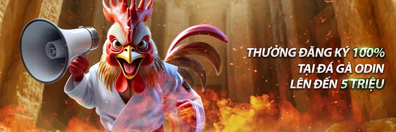 Đá Gà Thomo 4/3/2024 – Arena Gà Đá Rực Lửa
